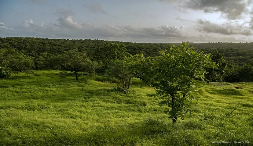 Saurashtra Tour Package – Divine &amp; Heritage Tour of Gujarat 6 Days / 5 Nights 1